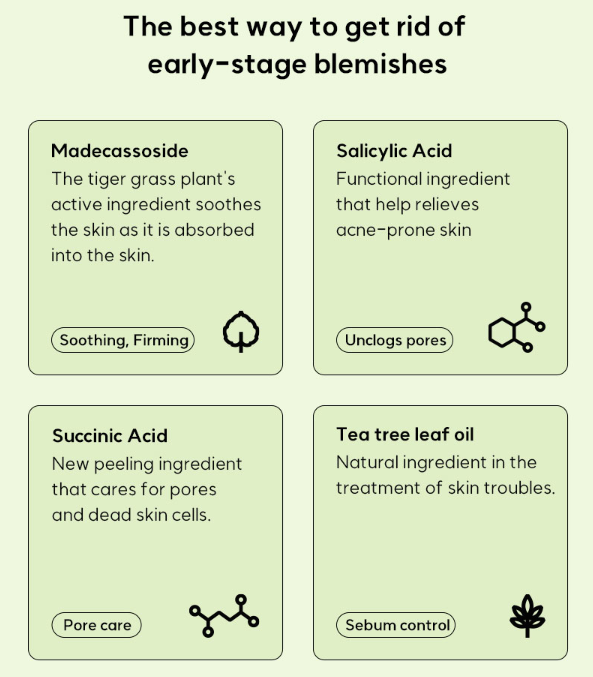 ELDEEN Good bye Blemishes Microneedle Patch (9ea)